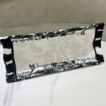 Christian Dior Medium Dior Book Tote